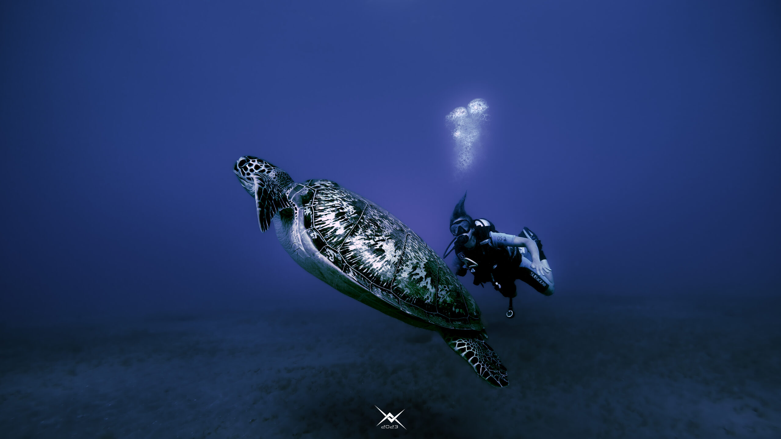 Au cœur du bleu